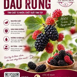 HƯƠNG DÂU RỪNG