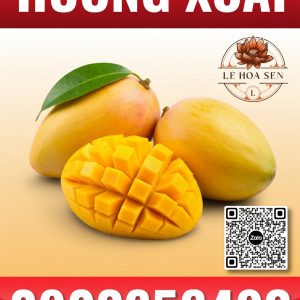 HƯƠNG XOÀI