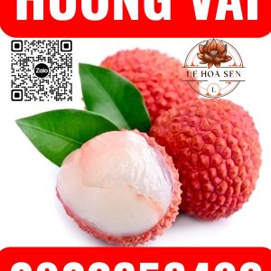 HƯƠNG VẢI