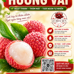 HƯƠNG VẢI