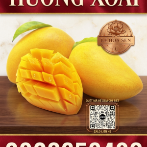 HƯƠNG XOÀI