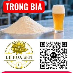 ENZYME TRONG BIA