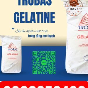 GELATINE