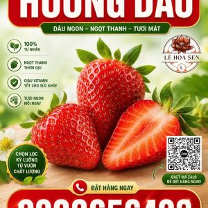 HƯƠNG DÂU