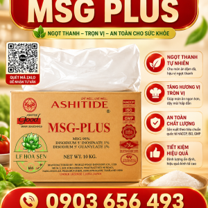 MSG PLUS