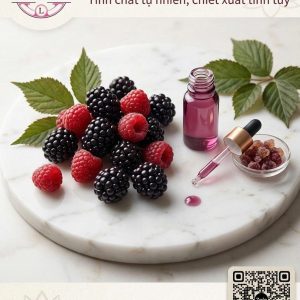 HƯƠNG DÂU RỪNG (FOREST FRUITS FLAVOUR)