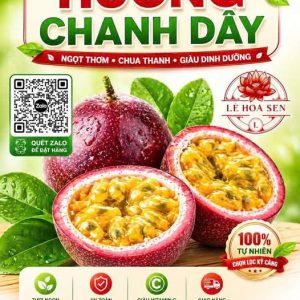 HƯƠNG CHANH DÂY