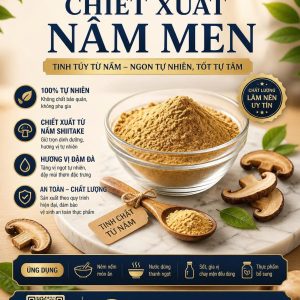 CHIẾT XUẤT NẤM MEN
