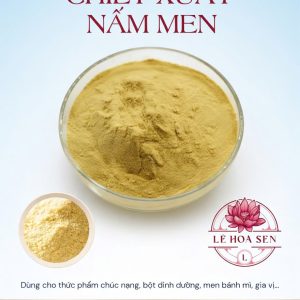 Alternative view of CHIẾT XUẤT NẤM MEN