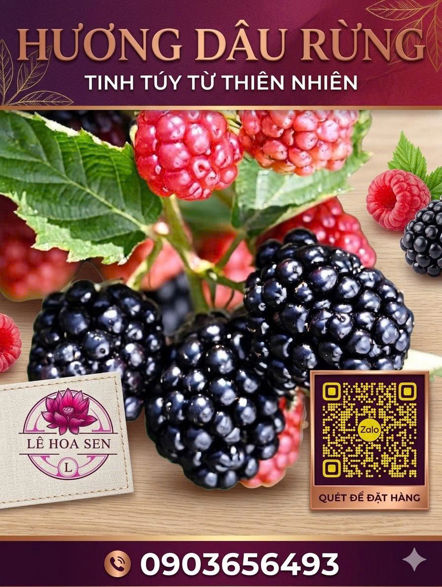HƯƠNG DÂU RỪNG (FOREST FRUITS FLAVOUR) - Image 2