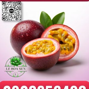 Alternative view of HƯƠNG CHANH DÂY