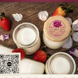 HƯƠNG SỮA CHUA (YOGURT FLAVOUR)