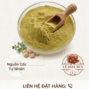 CHIẾT XUẤT NẤM MEN