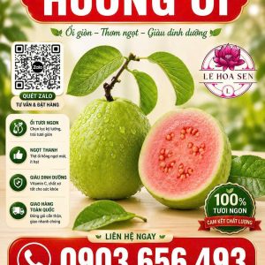 HƯƠNG ỔI