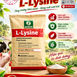 L-LYSINE